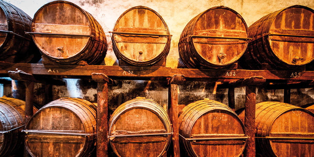 Barrels in a wine cellar